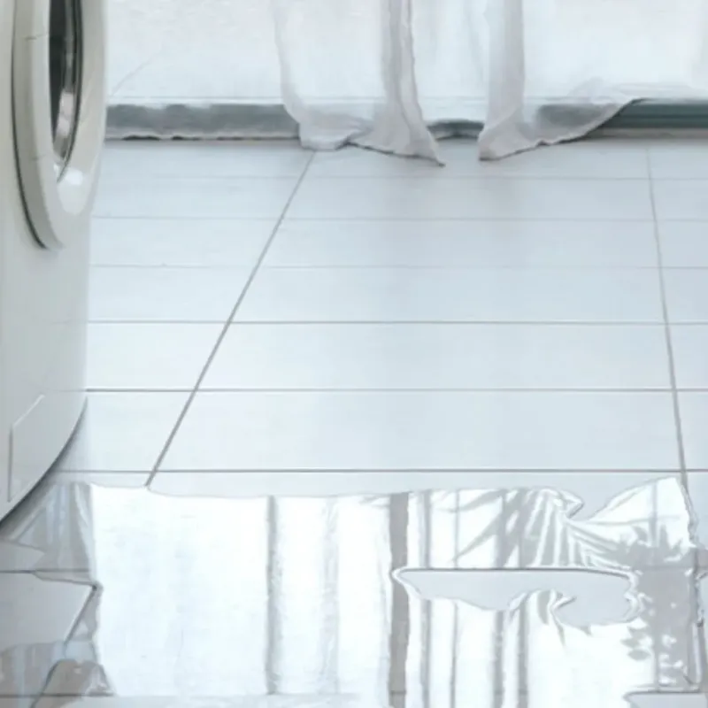 Appliance Leak Cleanup in Glendale, CA